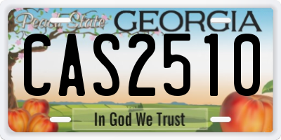 GA license plate CAS2510