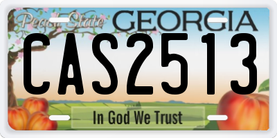 GA license plate CAS2513