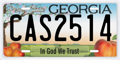 GA license plate CAS2514