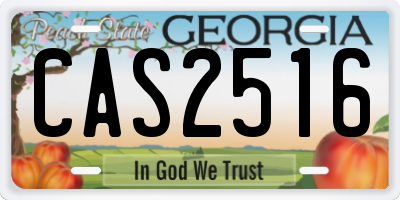 GA license plate CAS2516