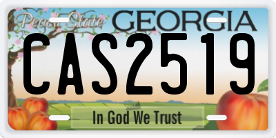 GA license plate CAS2519