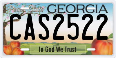 GA license plate CAS2522