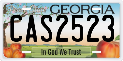 GA license plate CAS2523