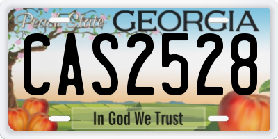 GA license plate CAS2528