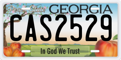 GA license plate CAS2529