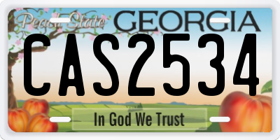 GA license plate CAS2534