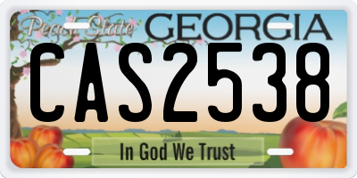 GA license plate CAS2538