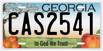 GA license plate CAS2541