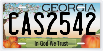 GA license plate CAS2542