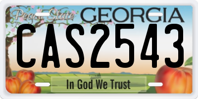 GA license plate CAS2543