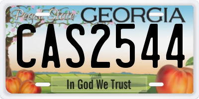 GA license plate CAS2544