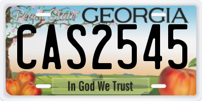 GA license plate CAS2545