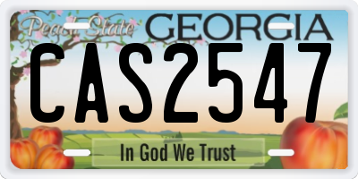 GA license plate CAS2547