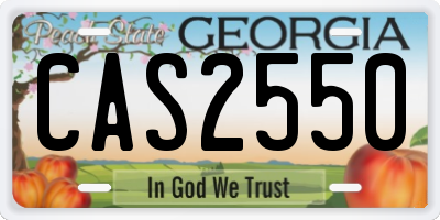 GA license plate CAS2550
