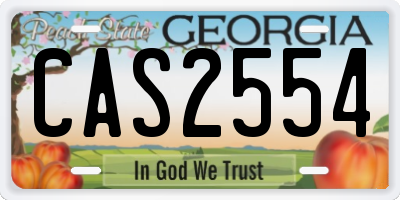 GA license plate CAS2554