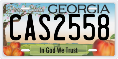 GA license plate CAS2558