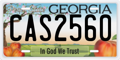 GA license plate CAS2560