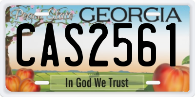 GA license plate CAS2561