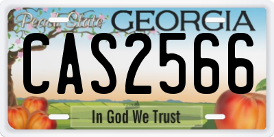 GA license plate CAS2566