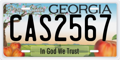 GA license plate CAS2567