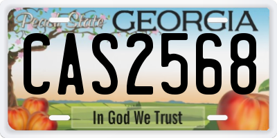 GA license plate CAS2568