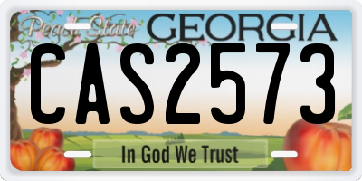 GA license plate CAS2573
