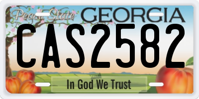 GA license plate CAS2582