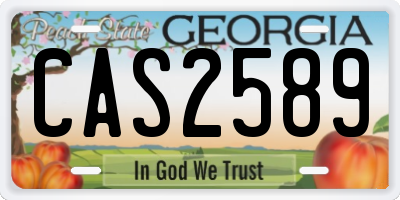 GA license plate CAS2589