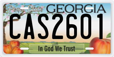 GA license plate CAS2601