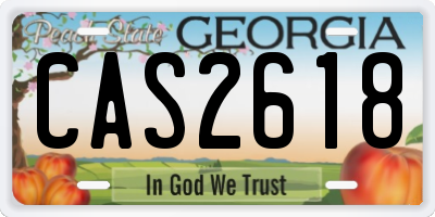 GA license plate CAS2618