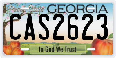 GA license plate CAS2623