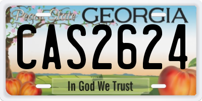 GA license plate CAS2624