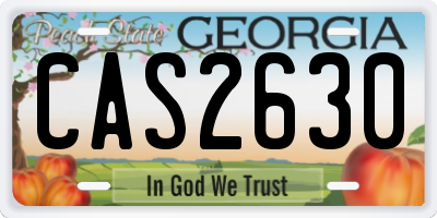 GA license plate CAS2630