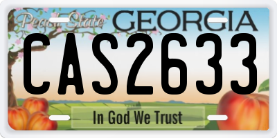 GA license plate CAS2633