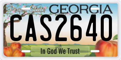 GA license plate CAS2640