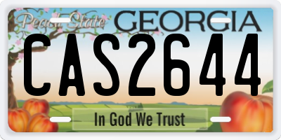 GA license plate CAS2644