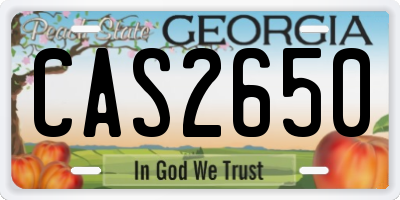 GA license plate CAS2650