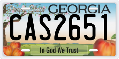 GA license plate CAS2651