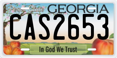 GA license plate CAS2653