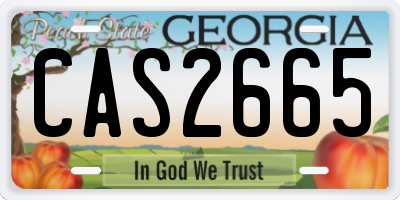 GA license plate CAS2665