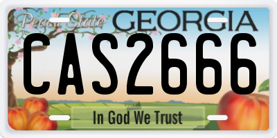 GA license plate CAS2666