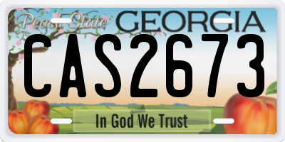 GA license plate CAS2673