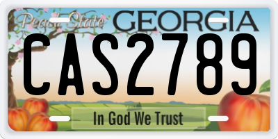 GA license plate CAS2789