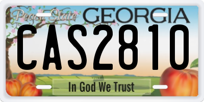 GA license plate CAS2810