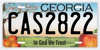 GA license plate CAS2822