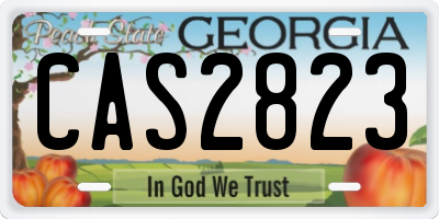 GA license plate CAS2823