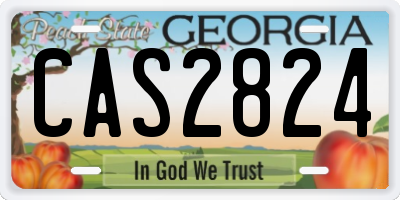 GA license plate CAS2824