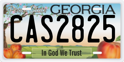 GA license plate CAS2825