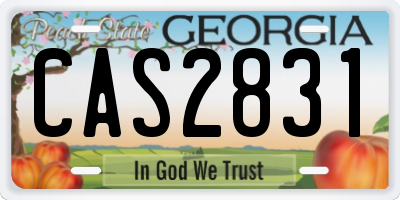 GA license plate CAS2831