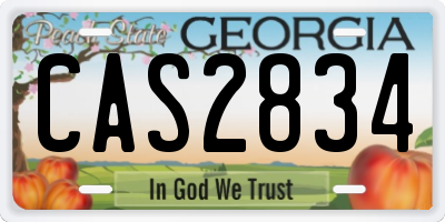 GA license plate CAS2834